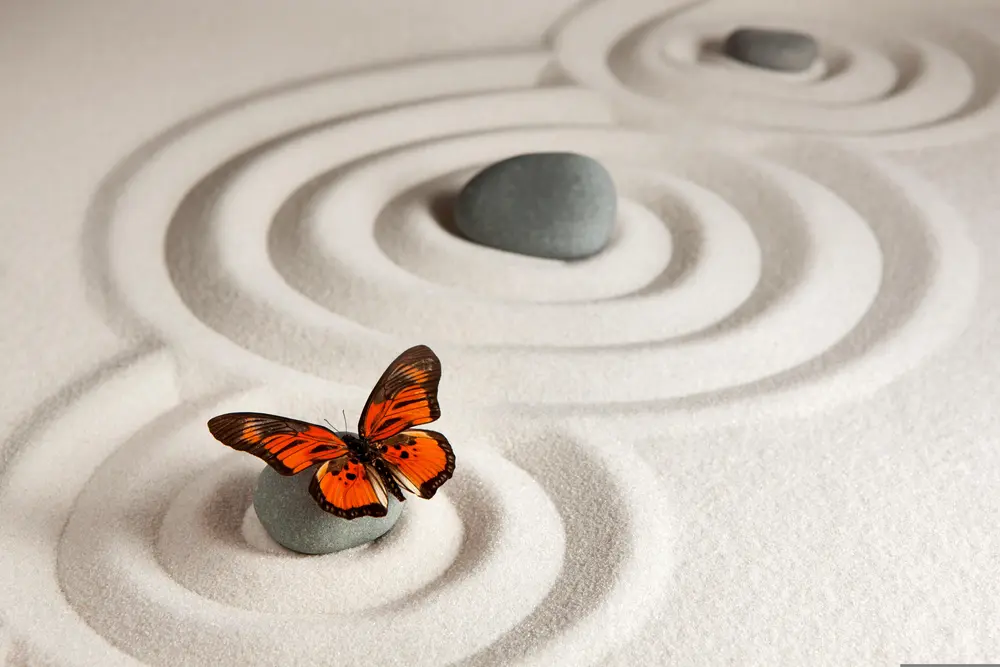 © ID18121281 / Pixabay Schmetterling in einem Zengarten
